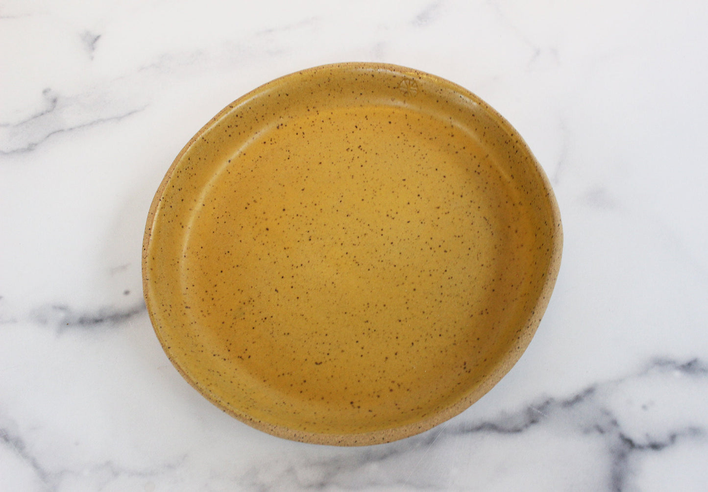 everyday ceramic dish